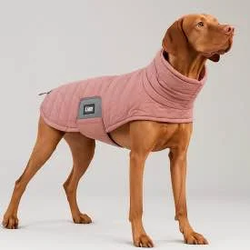 Beste hondenjasjes