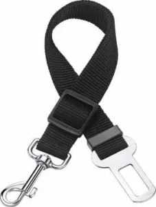 Hondenautogordel goedkoop