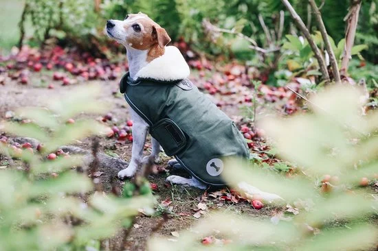 Beste Jasjes voor honden