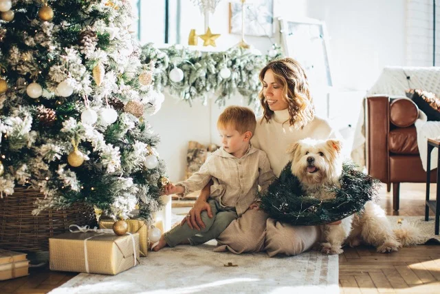 Kerstcadeau Hond top 7