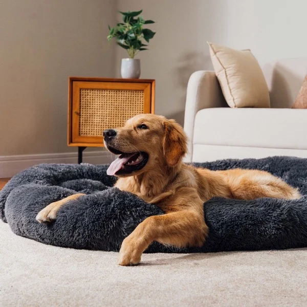 Beste fluffy hondenmand