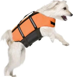 Flamingo Zwemvest hond