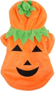 Pompoens Kostuum Hond