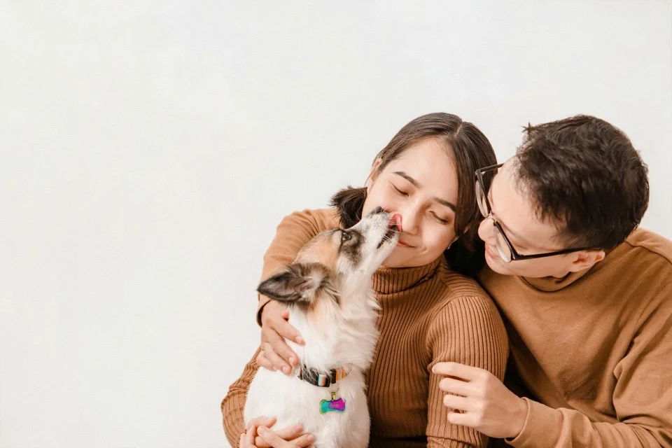 Waarom likt een hond je?