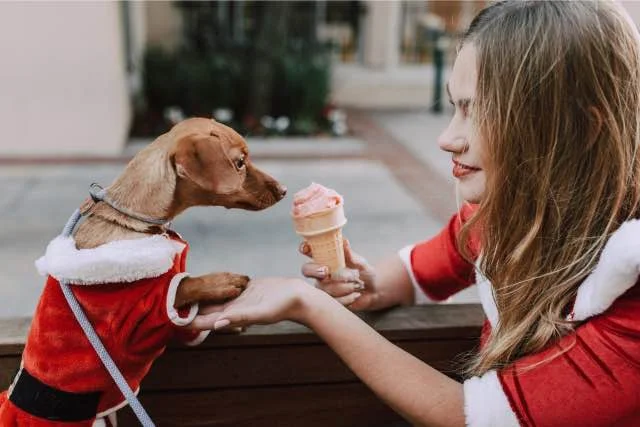 Wat mag je hond eten