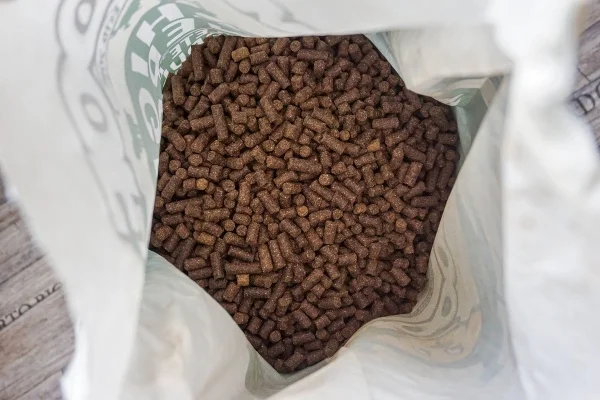 Beste geperste hondenbrokken