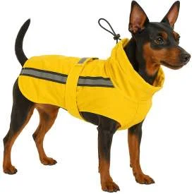 Beste honden regenjasje