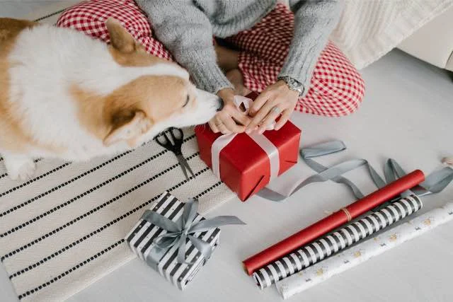 Honden kerstspeelgoed tips