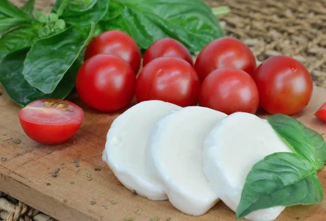 Mogen honden mozzarella