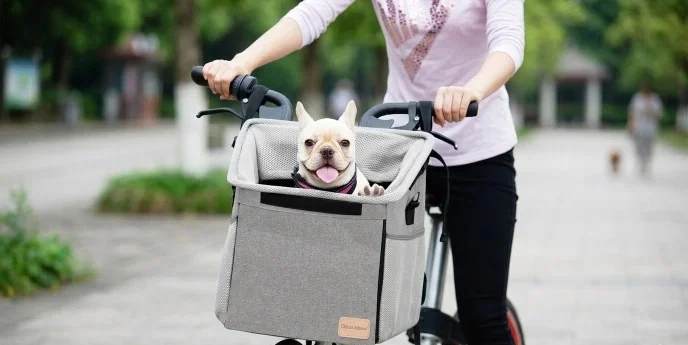 beste hondenfietsmand